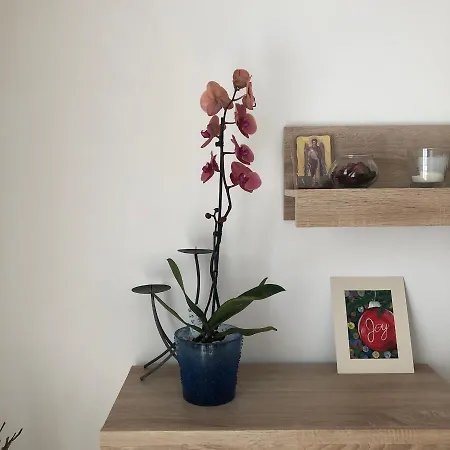 Grig Apartament